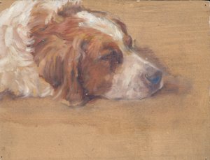 犬の頭 (研究) 作： Walther Gamerith