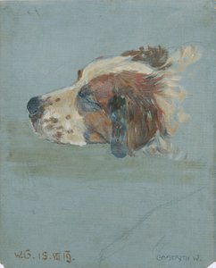 犬の頭 作： Walther Gamerith