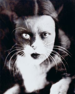 猫と私