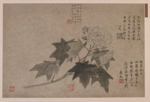 ハイビスカス、1347年 作： Wang Yuan