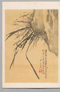 蘭、19世紀。 作： Watanabe Kazan