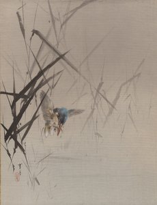 葦の間で魚を捕る鳥、ca。 1887。 作： Watanabe Seitei