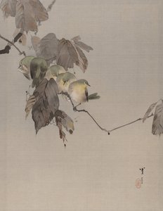 ブランチ上の鳥、ca。 1887。 作： Watanabe Seitei
