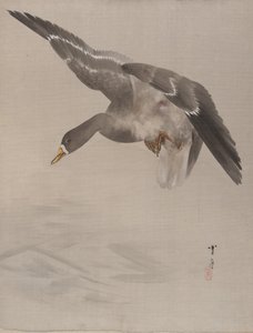 ダック、ca。 1887。 作： Watanabe Seitei