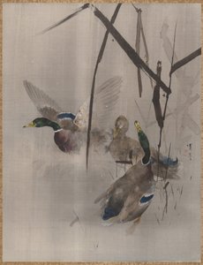 ラッシュのカモ、ca。 1887。 作： Watanabe Seitei