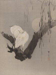 夜の木のサギ、ca。 1887。