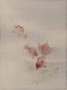 金魚、ca。 1887。 作： Watanabe Seitei