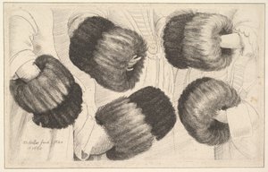 5つのビューのマフ、1645〜46。 作： Wenceslaus Hollar