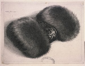 ブロケードのバンドが付いた大きなマフ、1647 作： Wenceslaus Hollar