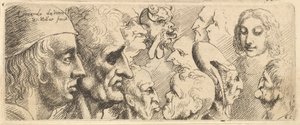 様々な頭、1625-77。 作： Wenceslaus Hollar