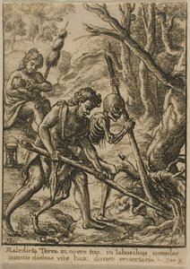 アダム・プラウイング 作： Wenceslaus Hollar