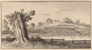 オルベリー 作： Wenceslaus Hollar
