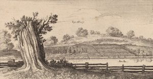 Albury, 1645年。