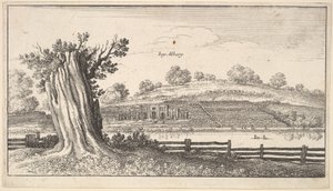 前景の木切り株のあるオルベリー、1625年〜77年。 作： Wenceslaus Hollar