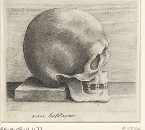 頭蓋骨の解剖学的研究 作： Wenceslaus Hollar