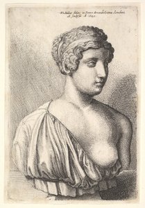 女性のアンティークバスト、1645。 作： Wenceslaus Hollar