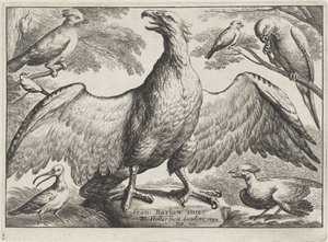 鷲 別の鳥（シリーズタイトル） 作： Wenceslaus Hollar