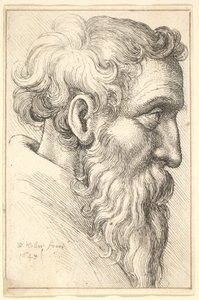 右側の横顔のひげを生やした老人、1645。 作： Wenceslaus Hollar
