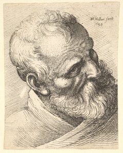 頭を傾けたひげを生やした老人、1645。 作： Wenceslaus Hollar