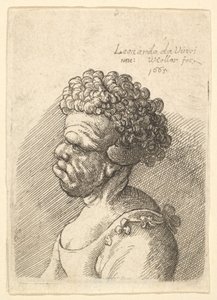 左の横顔に巻き毛を持つ奇形の女性の胸像、1665 年。 作： Wenceslaus Hollar