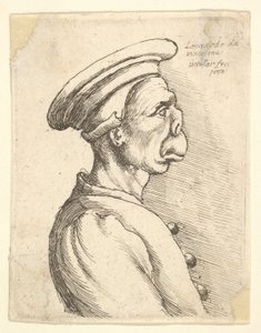 平らな鼻と突き出た口を持つ男性の胸像。 作： Wenceslaus Hollar
