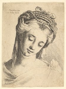 見下ろしている精巧な頭飾りを持つ若い女性の胸像、1625-77。 作： Wenceslaus Hollar