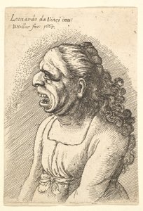 口が大きく開いた長い巻き毛の女性の胸像。肩から落ちて...、1665年。 作： Wenceslaus Hollar