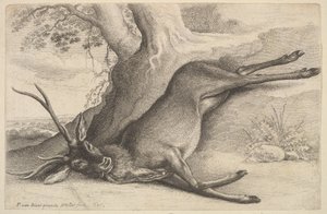 死んだクワガタ、1646年。 作： Wenceslaus Hollar