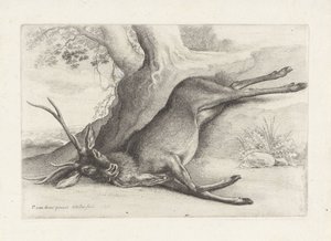 鹿を撃つ 狩猟と猟犬とゲーム（連載タイトル） 作： Wenceslaus Hollar