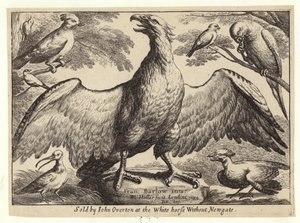 ワシおよび他の鳥 作： Wenceslaus Hollar