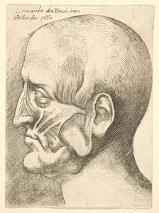 左横顔の男性のエコルチェヘッド、1660年。 作： Wenceslaus Hollar