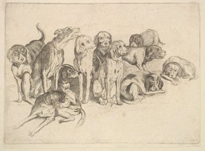 イレブンハウンド、1625-77。 作： Wenceslaus Hollar