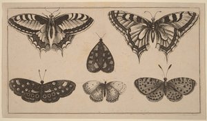  作： Wenceslaus Hollar