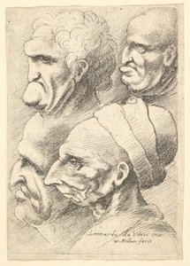 左のプロファイルに4つのグロテスクな頭部、1625-77。 作： Wenceslaus Hollar