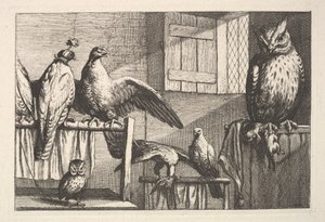 ホークスとフクロウ、1625-77年。