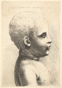 子供の頭と肩、横向き、1645 作： Wenceslaus Hollar