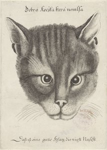 猫の頭 作： Wenceslaus Hollar