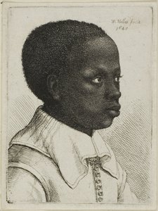 右にプロファイルで若い黒人少年の頭 作： Wenceslaus Hollar