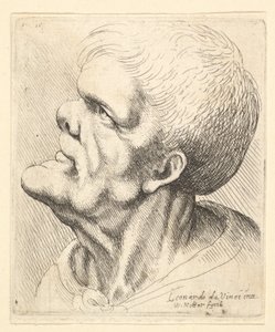 顎を上に突き出して鼻をかむ男性の頭部。左から上を向いている。1625-77。 作： Wenceslaus Hollar