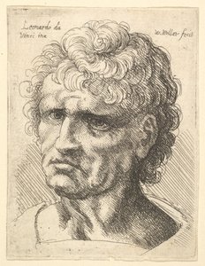 真剣な表情をした男性の頭部 1625-77年 作： Wenceslaus Hollar