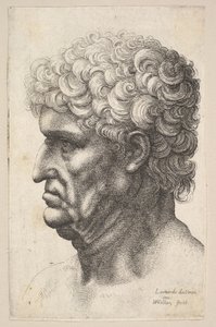 左に横に太い巻き毛の男性の頭、1640〜49年。 作： Wenceslaus Hollar