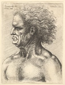 1625-77、流れる髪を残した横顔の筋肉老人の頭。 作： Wenceslaus Hollar
