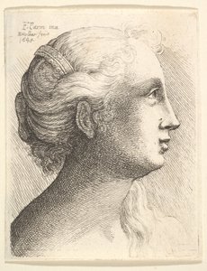 右側のプロファイルの若い女性の頭、1645。