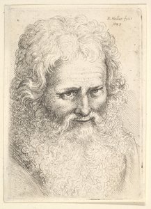 大きなひげを持つ老人の頭、1645 作： Wenceslaus Hollar