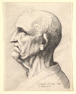 左に横向きの耳の周りに巻き毛の房を持つ老人の頭、1644-52。 作： Wenceslaus Hollar