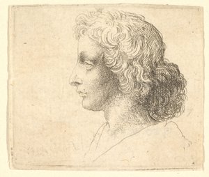 左側の縦長の髪を持つ若い男性の頭、1644-52。 作： Wenceslaus Hollar