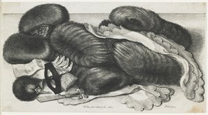 テーブルの上のマフと衣料品、1647 作： Wenceslaus Hollar