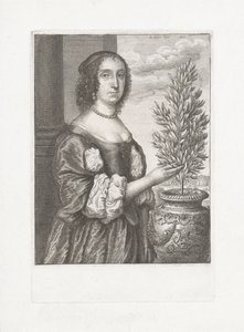 月桂樹の隣に立っている女性の肖像画 作： Wenceslaus Hollar