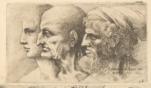 左のプロファイルにある3つの頭の列、1645。 作： Wenceslaus Hollar