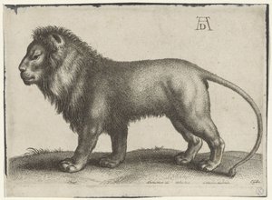 立っているライオン 作： Wenceslaus Hollar